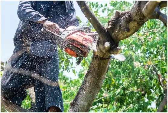 tree services Whiteville